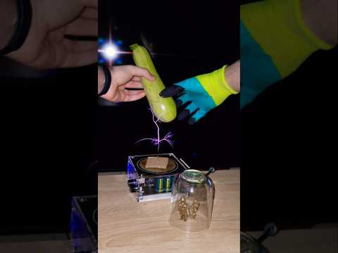 🥬 Music Tesla Coil #experiment #physics #zucchini #science