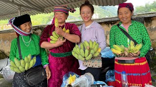 selling bananas at the highland market, harvesting eggplants