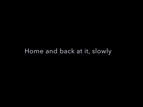 diary 2023 03 20 — Home and back at it, slowly