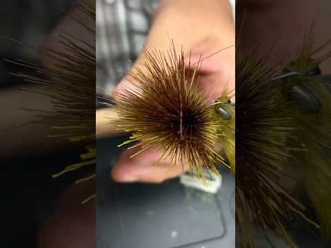 What is your favorite way to cut deer hair?