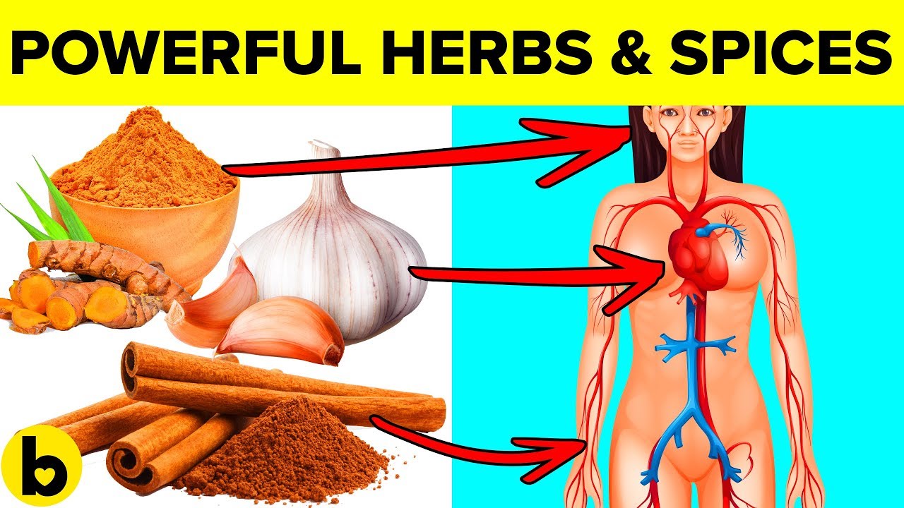 7 Herbs & Spices with the most powerful Health Benefits