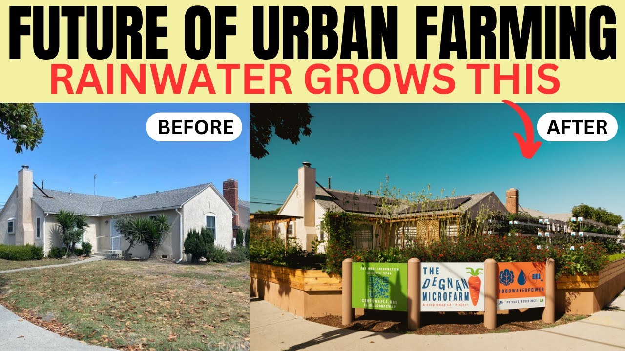 The Future Of Urban Farming: LA MicroFarm Grows Food with Rainwater