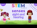 Human Senses and Perception