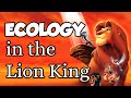 Ecological Concepts in The Lion King