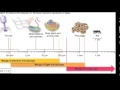Cell Biology Concepts and Microscopy