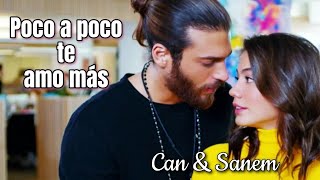 Poco a poco te amo más | Sanem y Can
