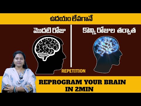 REPROGRAM YOUR BRAIN FOR SUCCESS IN 2MIN || BY MERRY || OURDREAM 8888