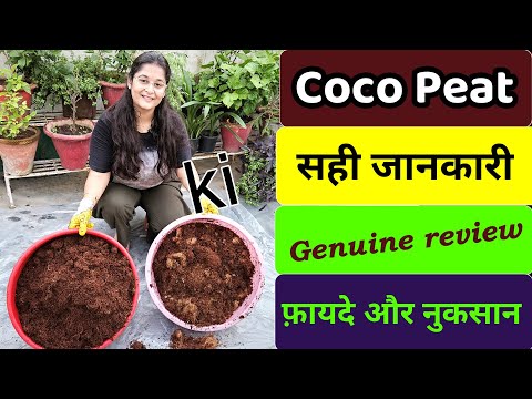 🔴COCOPEAT USES BENEFITS क्या COCOPEAT सच में बागवानी के लायक है #cocopeat #gardening