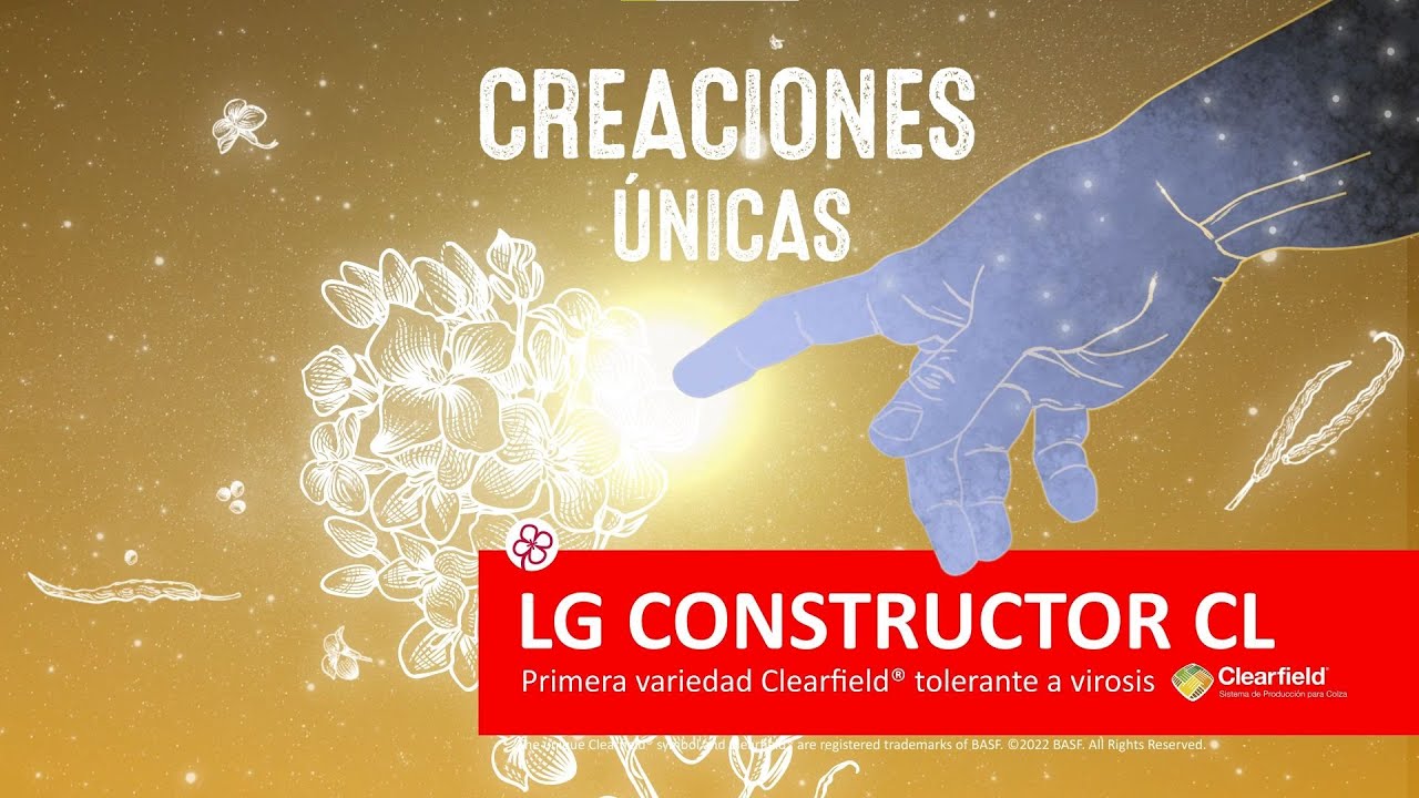 LG CONSTRUCTOR CL