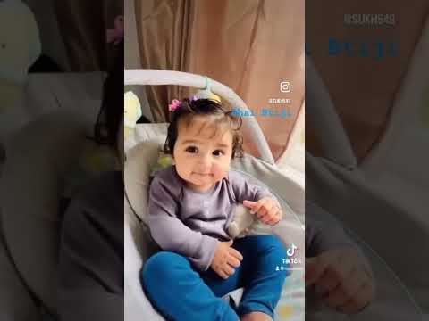 Veer Mera #punjabimusic