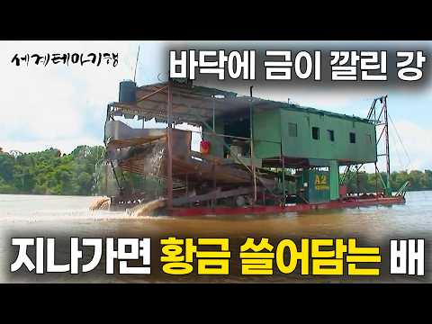 배에서 먹고 자면서 금 쓸어담는 광부들｜<strong>세계테마기행</strong> | #세테깅