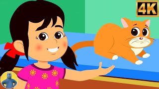 Ek Billi Hamari Nursery Rhyme, एक बिल्ली हमारी, Kukdoo Koo + More Hindi Kids Song