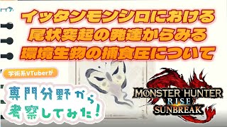 【モンハンサンブレイク】学術系VTuberが専門分野から考察してみた ～イッタンモンシロ編～ 【MHRise:SB】
