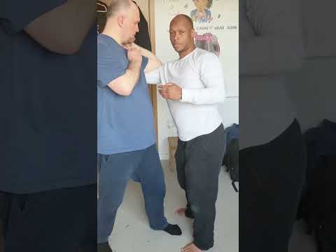 Kuntao Mantis | Single Punch Intercept & Chin Na Shoulder Control