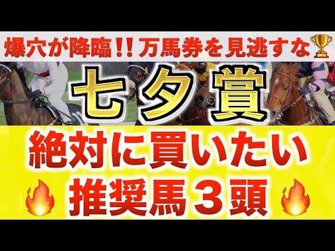 【七夕賞2025 予想】シルトホルン過去最高のデキ？プロが"全頭診断"から導く絶好の3頭！