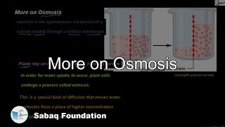 More on Osmosis