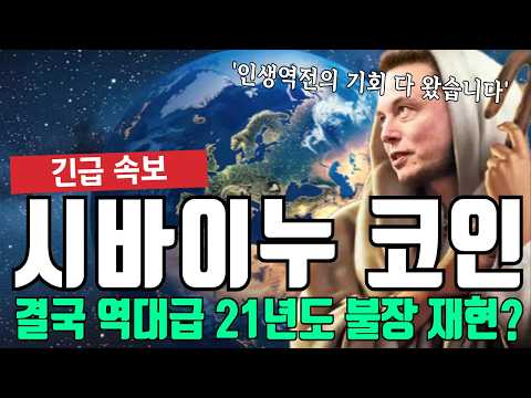 <strong>시바이누</strong> 코인 결국 21년도 불장 재현?