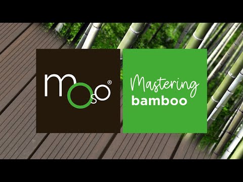 MOSO Bamboo X-treme Produzione | dal culmo di bambù ai prodotti MOSO