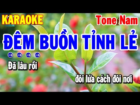 Karaoke Đêm Buồn Tỉnh Lẻ Tone Nam Nhạc Sống Beat Hay 2024 | Karaoke Thanh Hải