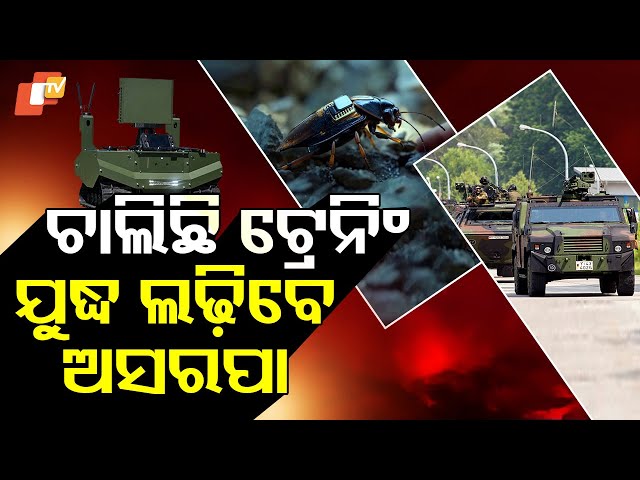 Special Story: Cockroach Spy to Infiltrate Enemy Bases in Future Wars