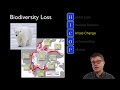 Biodiversity and Conservation Challenges
