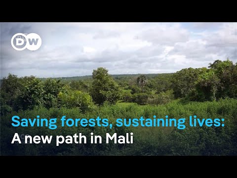 YouTube video thumbnail: In Mali, One Man Is Proving That Saving Forests and Earning A Living Can Go Hand in Hand.
