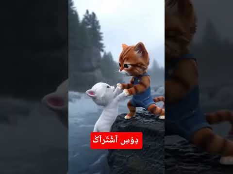 قُطِ يَغُرقُ