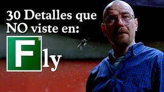 Breaking Bad Curiosidades Capítulo 10 de la temporada 3 "La Mosca"