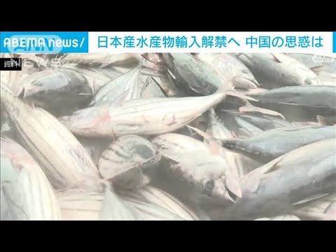 ニュースの動画サムネイル - 「反日ムード高まる前に」との思惑　日本の水産物輸入再開へ日中合意(2025年5月30日)