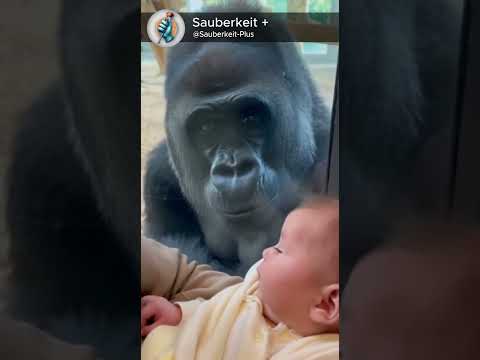 The gentlest moment you’ll see today