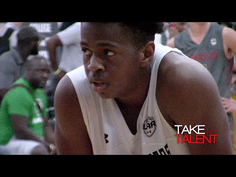 6'6 Josh Ugbaja (2023/F) UAA Summer