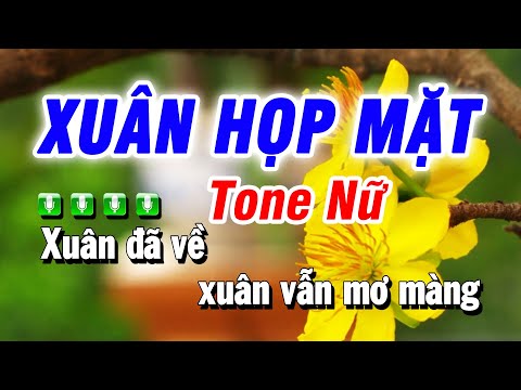 Karaoke Xuân Họp Mặt Nhạc Xuân Tone Nữ | Beat Bảo Hưng