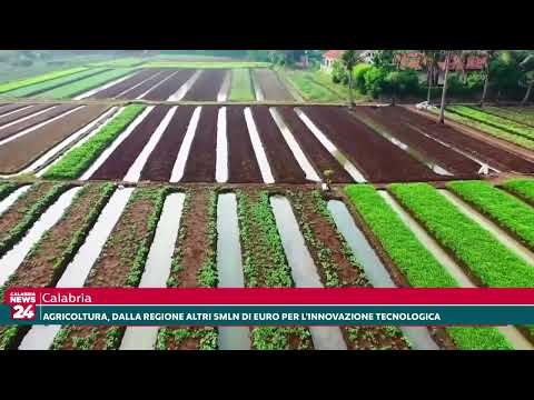 Agricoltura, dalla Regione Calabria altri 5mln per l'innovazione tecnologica