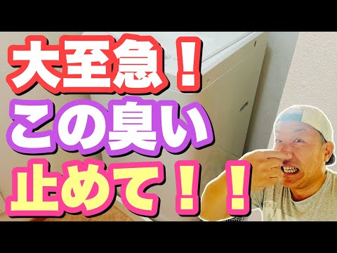 脱衣所に漂うイヤな臭いの原因はこれ!!