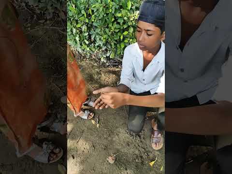Masoom बच्चे 😢😘 #shorts #viralvideo #viralshorts #viral #video