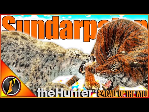 Hunting Tigers, Snow Leopards, & MORE on Sundarpatan! | Call of the Wild