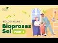 Kuis Bioproses Sel