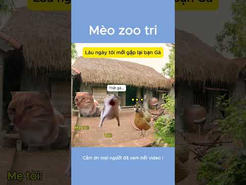 Xin lỗi bạn gà nha =_=