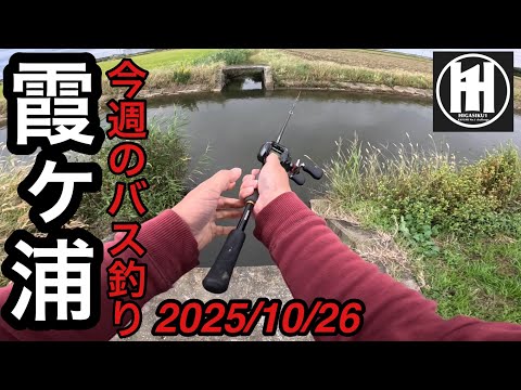 バス釣り今週の霞ヶ浦2025年10月26日