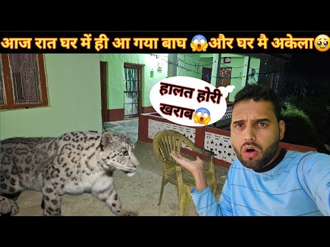 आज रात घर में ही आ गया तेंदुआ😱 आज पहली बार इतना डरा हु अकेले में 🥹 घर में भी कोई नही है🥹।।