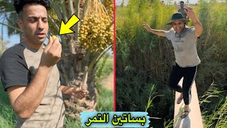 جوله داخل بساتين التمر / في كربلاء _ طويريج 