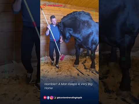 Horrible!! A Man Keeps A Very Big Horse