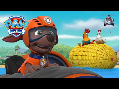 Os cachorros apanham as galinhas em fuga! - Patrulha Pata PAW Patrol Episódio Português