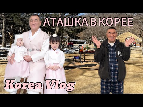 Аташка в Корее. Будни дедушки и корейских внучек