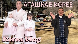 Аташка в Корее. Будни дедушки и корейских внучек