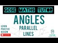 Properties of Angles and Triangles