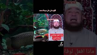 ما ذا أفعل لو فا تتني #صلاة الفجر #
