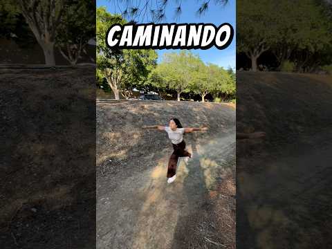 Tipo De Personas Caminando