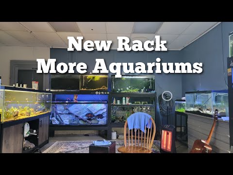 Aquarium Rack Extension I needed to clean the back corner of the fish room up and extend the rack to give the fish room a mo