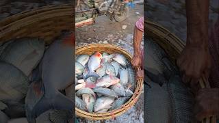 #shorts #fishmarket 😱🐠